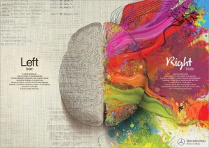 右脳と左脳の違い　アート